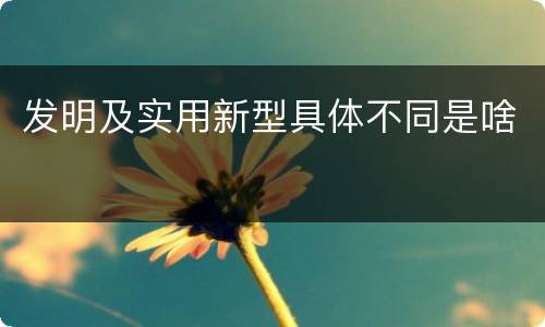 发明及实用新型具体不同是啥