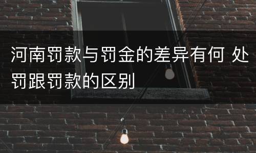 河南罚款与罚金的差异有何 处罚跟罚款的区别