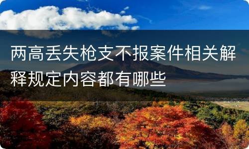 两高丢失枪支不报案件相关解释规定内容都有哪些
