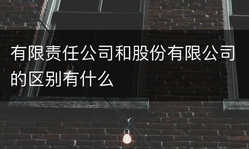 有限责任公司和股份有限公司的区别有什么