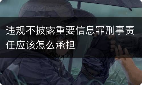 违规不披露重要信息罪刑事责任应该怎么承担
