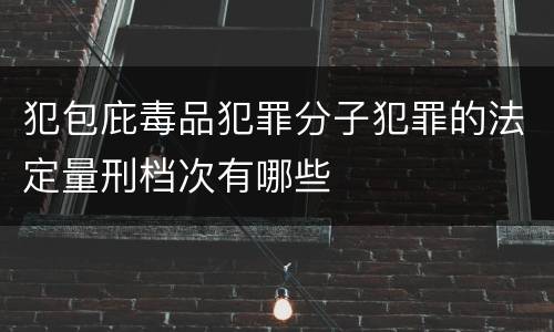 犯包庇毒品犯罪分子犯罪的法定量刑档次有哪些