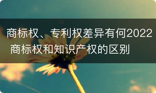 商标权、专利权差异有何2022 商标权和知识产权的区别