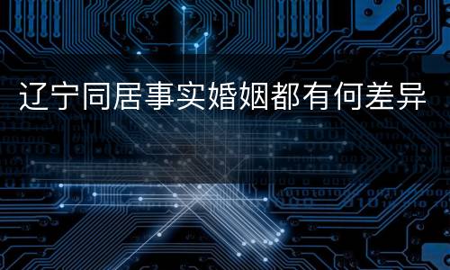 辽宁同居事实婚姻都有何差异