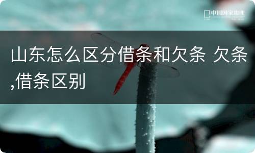 山东怎么区分借条和欠条 欠条,借条区别