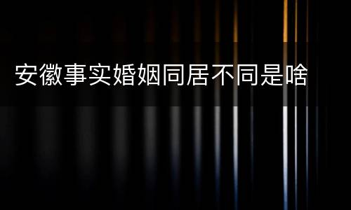 安徽事实婚姻同居不同是啥