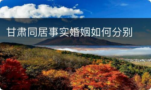 甘肃同居事实婚姻如何分别