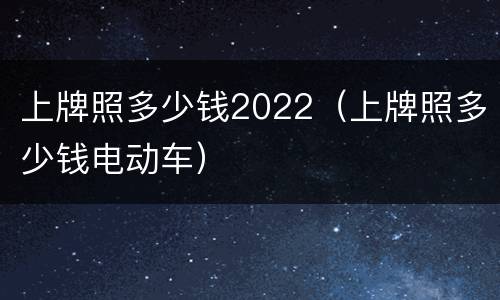 上牌照多少钱2022（上牌照多少钱电动车）