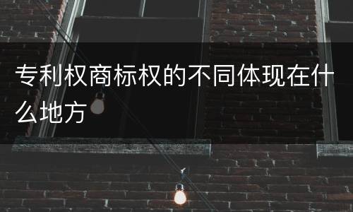 专利权商标权的不同体现在什么地方