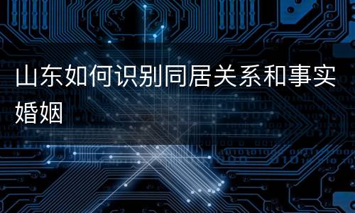 山东如何识别同居关系和事实婚姻