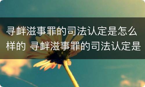 寻衅滋事罪的司法认定是怎么样的 寻衅滋事罪的司法认定是怎么样的呢
