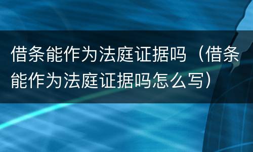 借条能作为法庭证据吗（借条能作为法庭证据吗怎么写）