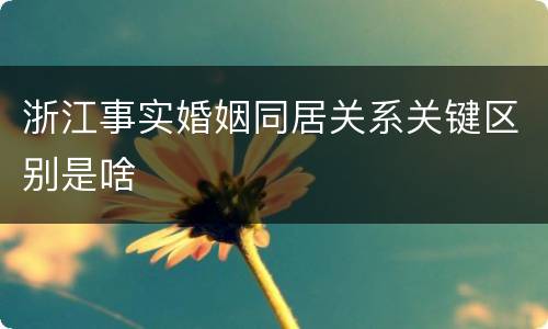 浙江事实婚姻同居关系关键区别是啥