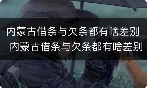 内蒙古借条与欠条都有啥差别 内蒙古借条与欠条都有啥差别啊