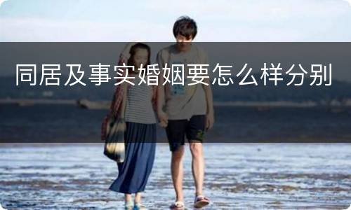 同居及事实婚姻要怎么样分别