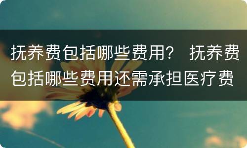 抚养费包括哪些费用？ 抚养费包括哪些费用还需承担医疗费吗