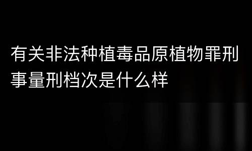 有关非法种植毒品原植物罪刑事量刑档次是什么样