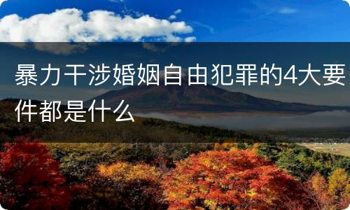 暴力干涉婚姻自由犯罪的4大要件都是什么