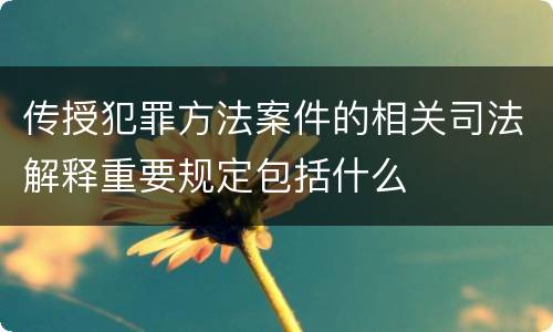 传授犯罪方法案件的相关司法解释重要规定包括什么