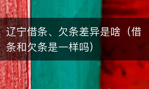 辽宁借条、欠条差异是啥（借条和欠条是一样吗）
