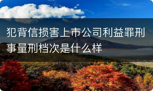 犯背信损害上市公司利益罪刑事量刑档次是什么样