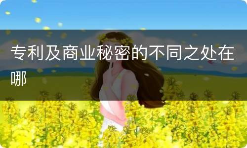 专利及商业秘密的不同之处在哪