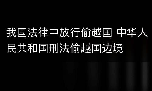 我国法律中放行偷越国 中华人民共和国刑法偷越国边境