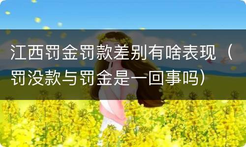 江西罚金罚款差别有啥表现（罚没款与罚金是一回事吗）