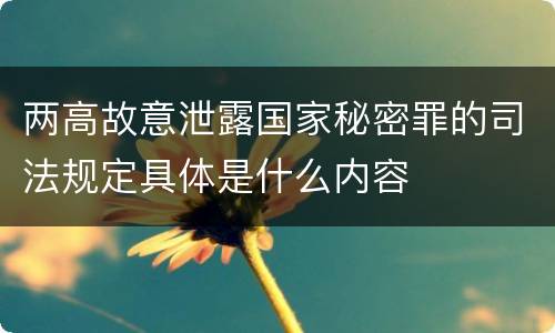 两高故意泄露国家秘密罪的司法规定具体是什么内容