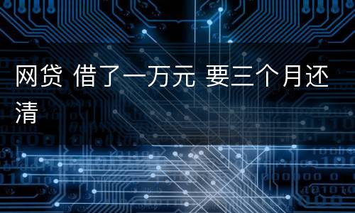 网贷 借了一万元 要三个月还清