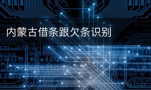 内蒙古借条跟欠条识别