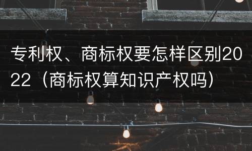 专利权、商标权要怎样区别2022（商标权算知识产权吗）