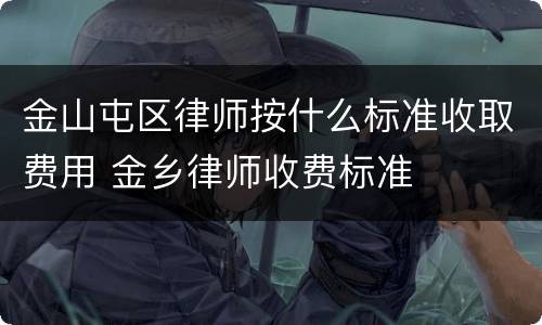 金山屯区律师按什么标准收取费用 金乡律师收费标准