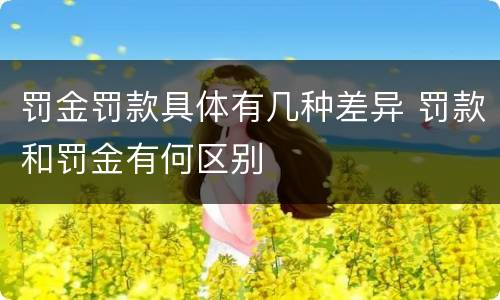 罚金罚款具体有几种差异 罚款和罚金有何区别