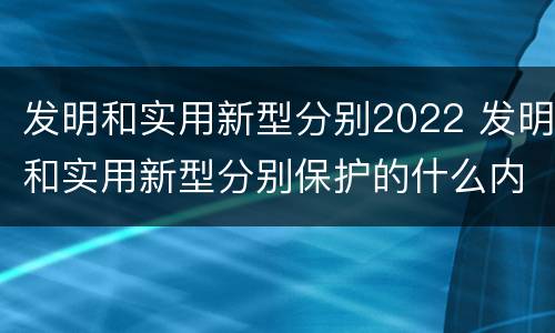 发明和实用新型分别2022 发明和实用新型分别保护的什么内容
