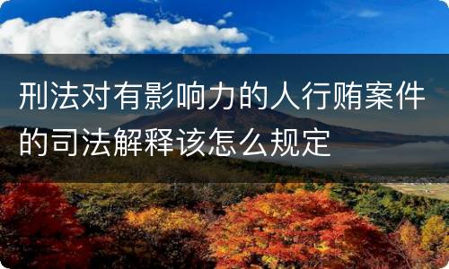 刑法对有影响力的人行贿案件的司法解释该怎么规定