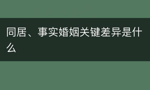 同居、事实婚姻关键差异是什么