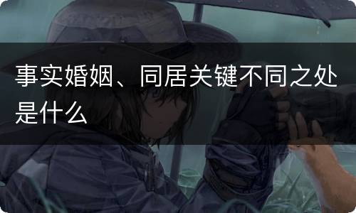 事实婚姻、同居关键不同之处是什么