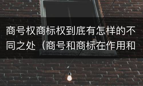商号权商标权到底有怎样的不同之处（商号和商标在作用和性质上的区别）
