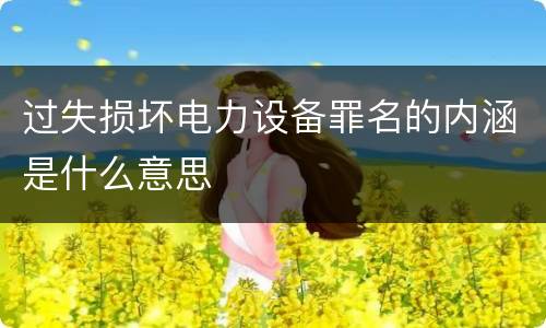 过失损坏电力设备罪名的内涵是什么意思