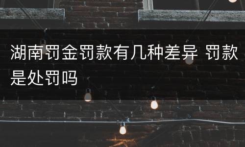 湖南罚金罚款有几种差异 罚款是处罚吗
