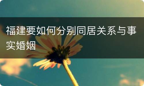 福建要如何分别同居关系与事实婚姻