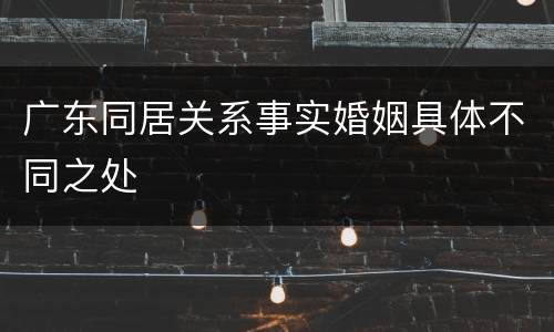 广东同居关系事实婚姻具体不同之处