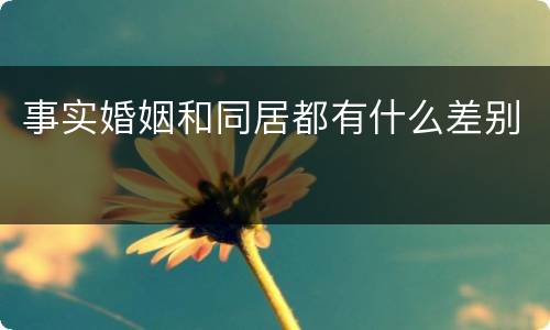 事实婚姻和同居都有什么差别
