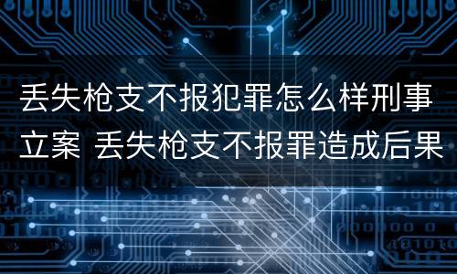 丢失枪支不报犯罪怎么样刑事立案 丢失枪支不报罪造成后果