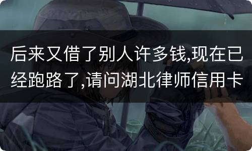 后来又借了别人许多钱,现在已经跑路了,请问湖北律师信用卡借钱不还会怎样呢