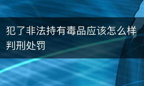 犯了非法持有毒品应该怎么样判刑处罚