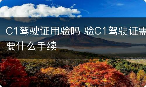 C1驾驶证用验吗 验C1驾驶证需要什么手续