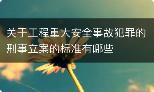 关于工程重大安全事故犯罪的刑事立案的标准有哪些