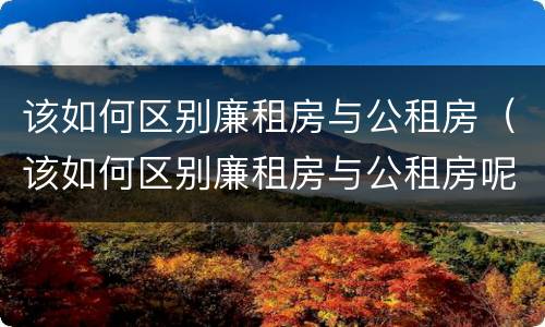 该如何区别廉租房与公租房（该如何区别廉租房与公租房呢）